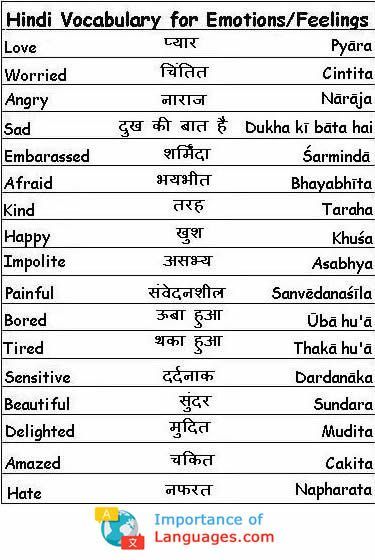 Hindi Dictionary and Phrasebook – Indigo Books